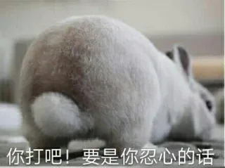 你打吧！要是你忍心的话_萌萌哒表情包