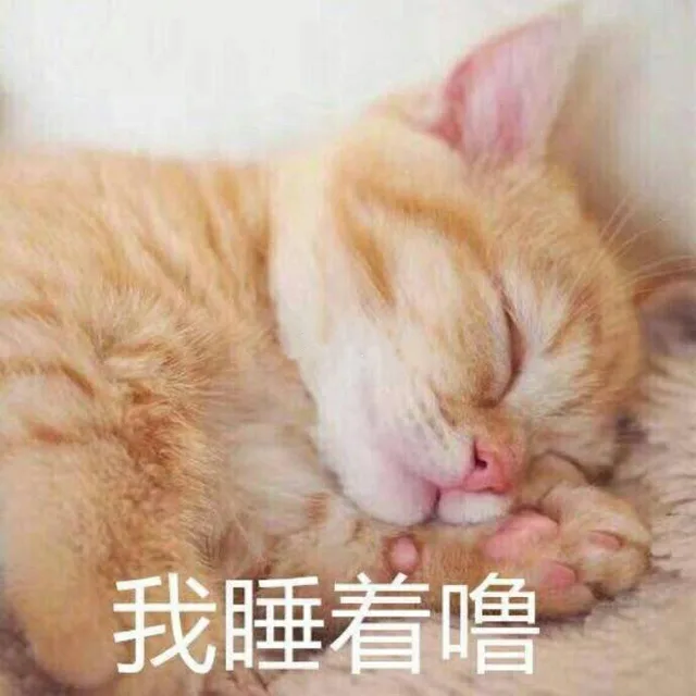 我睡着噜