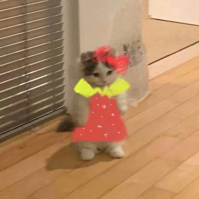 猫猫穿裙子