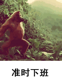 准时下班（准时下班）
