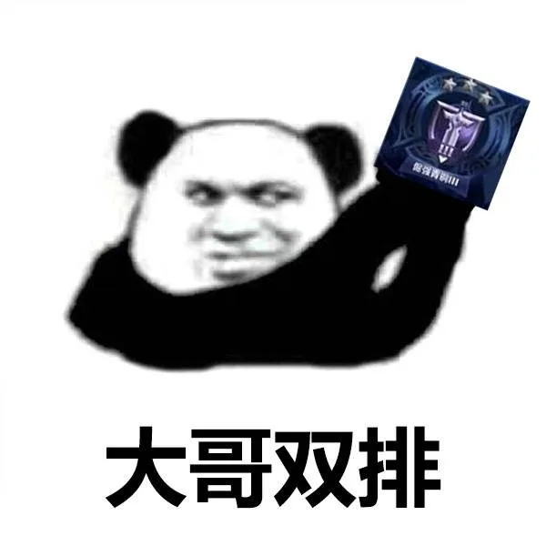 大哥双排（大哥双排）