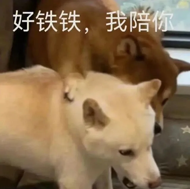 好铁铁，我陪你（好铁铁，我陪你）