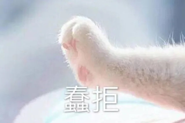 蠢拒