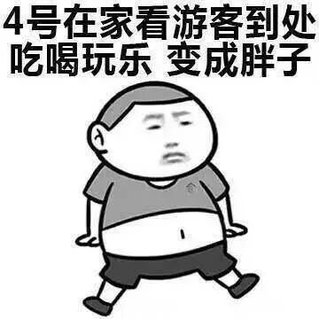 4号在家看游客到处吃喝玩乐变成胖子