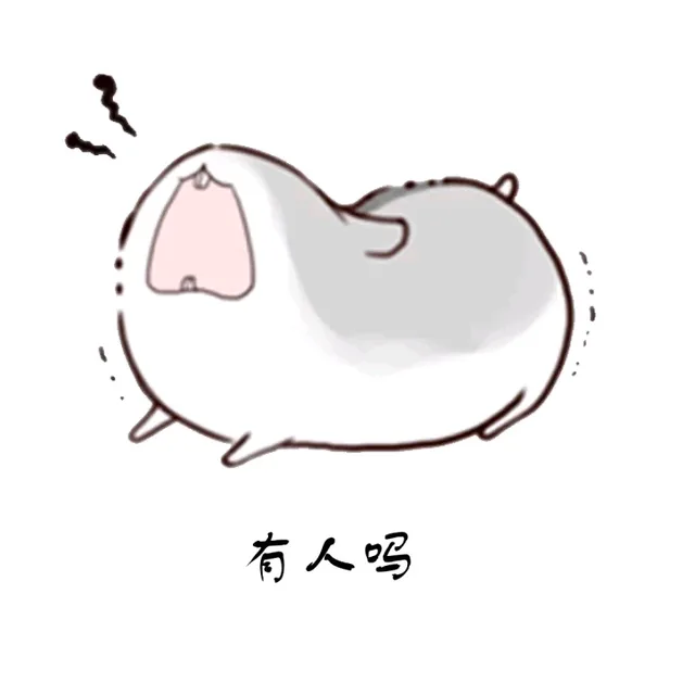 有人吗（有人吗）