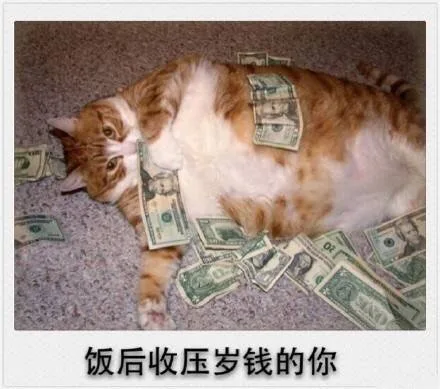饭后收压岁钱的你（饭后收压岁钱的你）