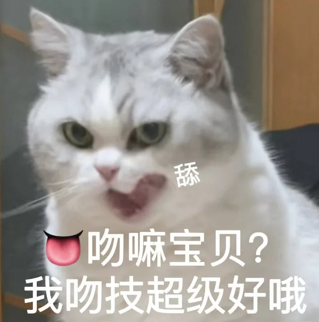舔吻嘛宝贝？我吻技超级好哦（舔吻嘛宝贝？我吻技超级好哦）
