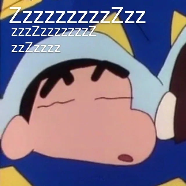 睡了 zzzz（睡了 zzzz）