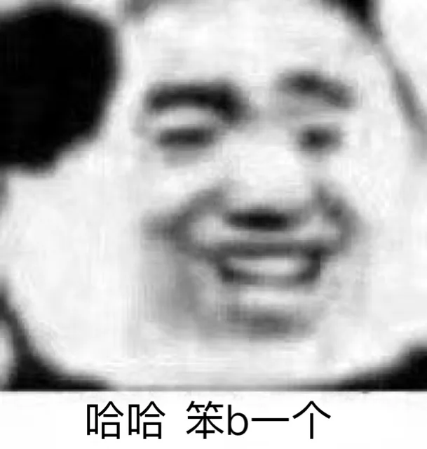哈哈笨b一个（哈哈笨b一个）