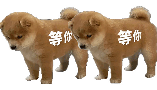 等你等你