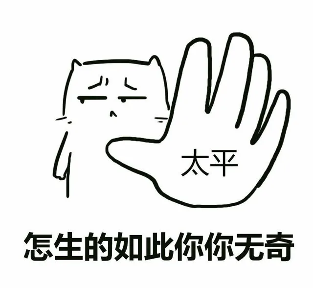 怎生的如此你你无奇 怎生的如此平平无奇（太平）