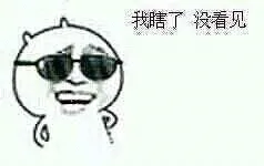 我瞎 了，没看见