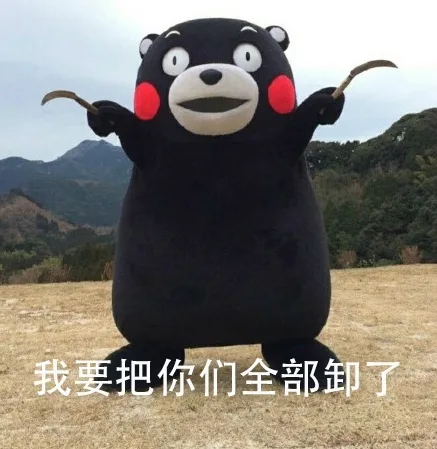 我要把你们都卸载了