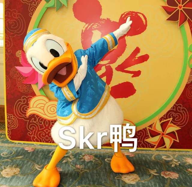 skr鸭
