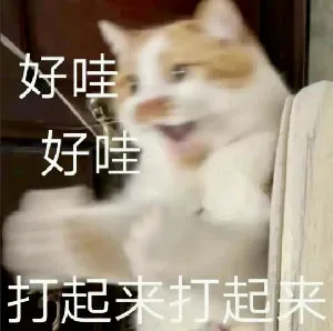 好哇好哇打起来打起来（好哇好哇打起来打起来）