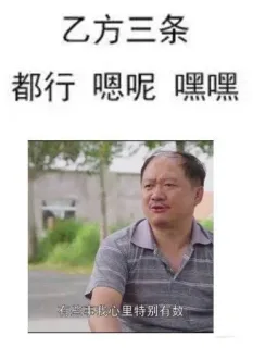 乙方三条都行嗯呢嘿嘿有些事我心里特别有效