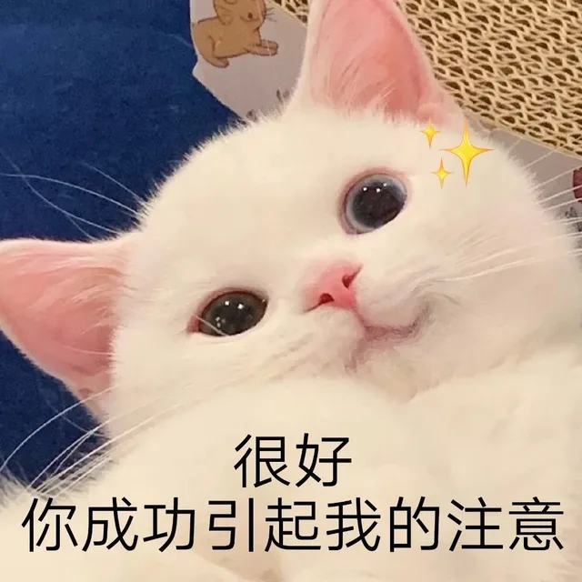 很好你成功引起我的注意（很好你成功引起我的注意）