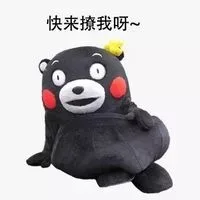 熊本熊撩人系列_熊本熊_撩妹撩汉