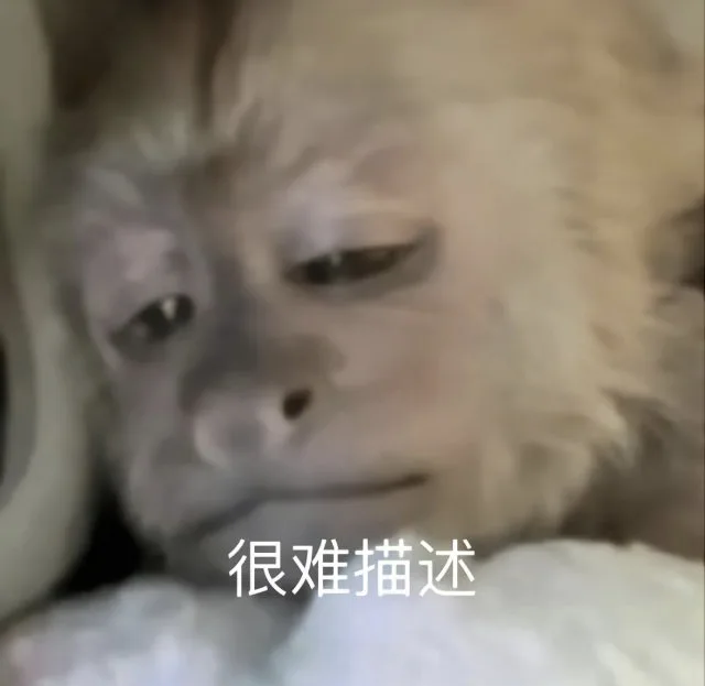 很难描述（很难描述）