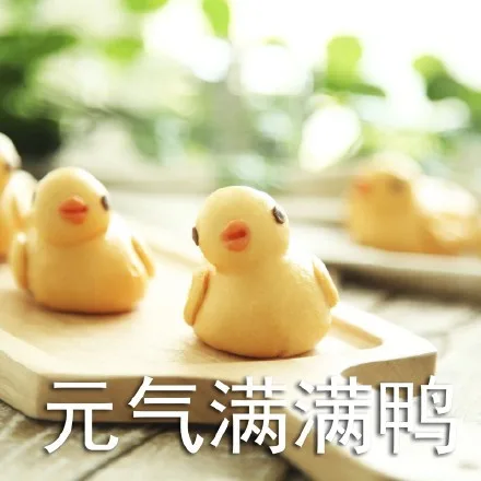 元气满满鸭（元气满满鸭）