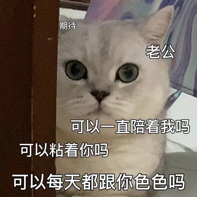 期待老公可以一直陪着我吗可以粘着你吗可以每天都跟你色色吗