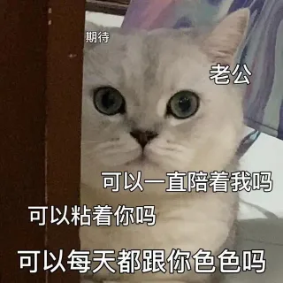 期待老公可以一直陪着我吗可以粘着你吗可以每天都跟你色色吗