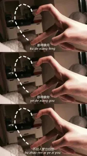 酷得像风，野得像狗，不招人爱也自由