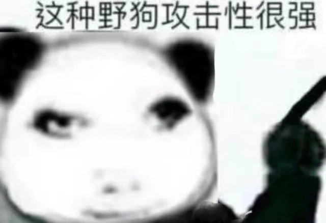 这种野狗攻击性很强（这种野狗攻击性很强）