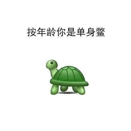 按年龄你是单身鳖（按年龄你是单身鳖）