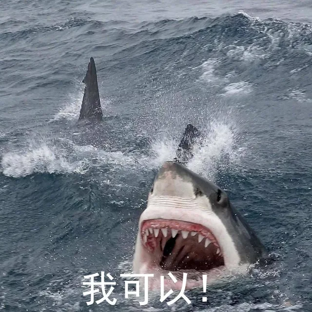 我可以！