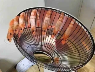 用电热炉烤虾