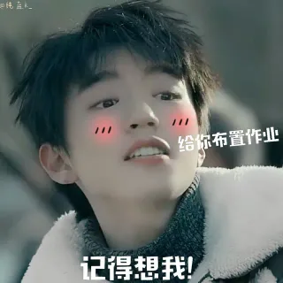 《天坑鹰猎》王俊凯表情包