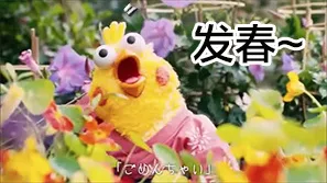 发春~