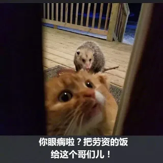 你眼瘸啦？把劳资的饭给这个哥们儿！