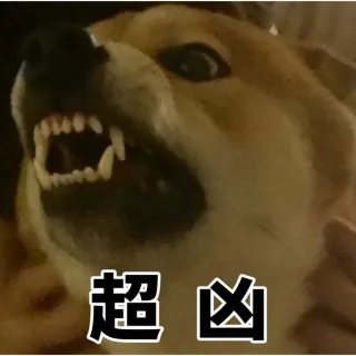 超凶（狗子）