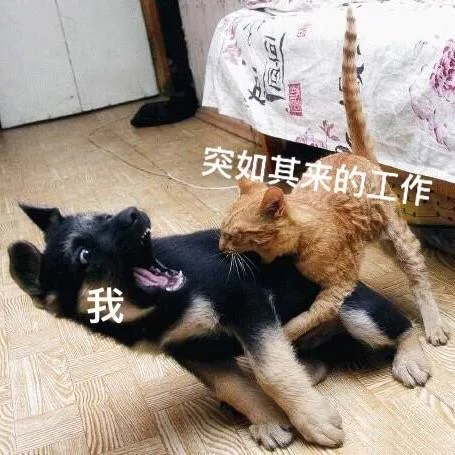 突如其来的工作 VS 我