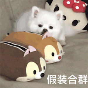 假装合群（假装合群）