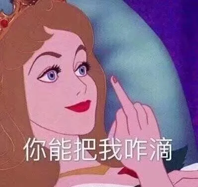 你能把我咋滴（迪士尼公主表情包）