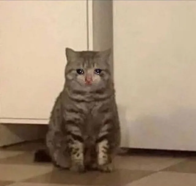 流泪猫猫头（流泪猫猫头）