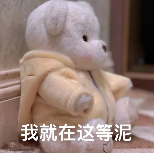 我就在这等泥
