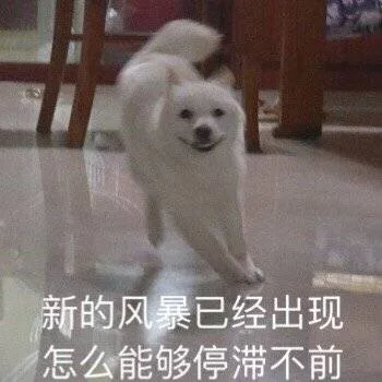 新的风暴已经出现，怎么能够停滞不前（新的风暴已经出现，怎么能够停滞不前）