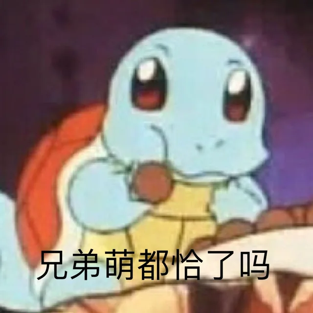 兄弟萌都恰了吗（杰尼龟表情包）（兄弟萌都恰了吗（杰尼龟表情包））