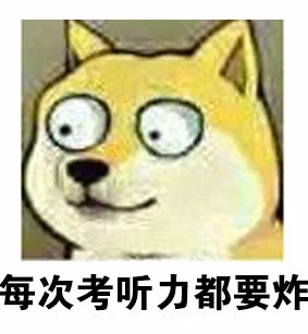 每次考听力都要炸