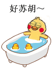 好苏胡