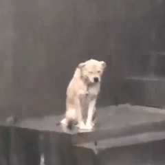 最近很火的修勾撑伞