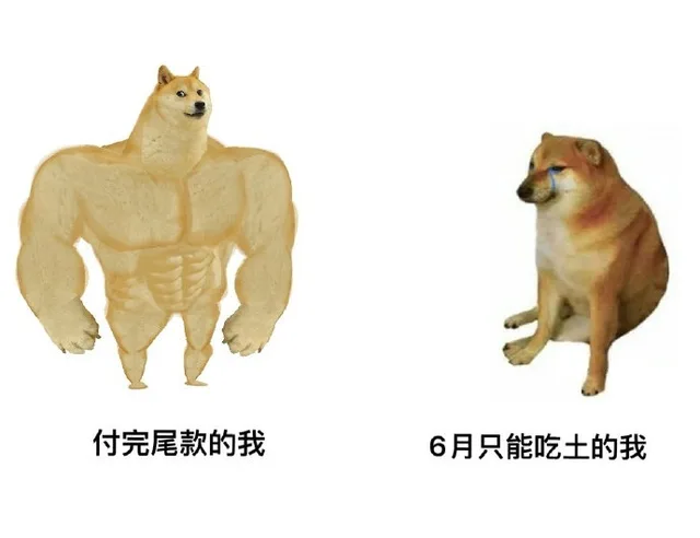 付完尾款的我6月只能吃土的我