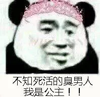 不知死活的臭男人我是公主!（不知死活的臭男人我是公主!）