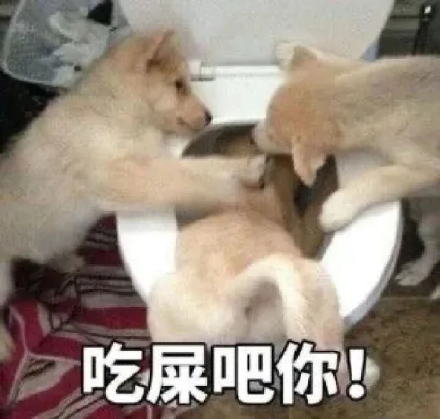吃屎吧你！（吃屎吧你！）