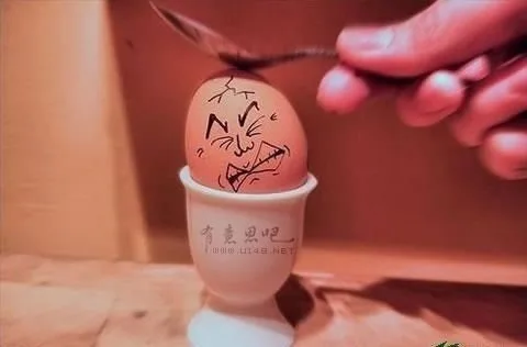 鸡蛋表情，软萌有木有，蛋碎的那刻～～～斗图可爱系_鸡蛋表情_搞笑_可爱表情包
