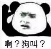 啊？狗叫？（啊？狗叫？）